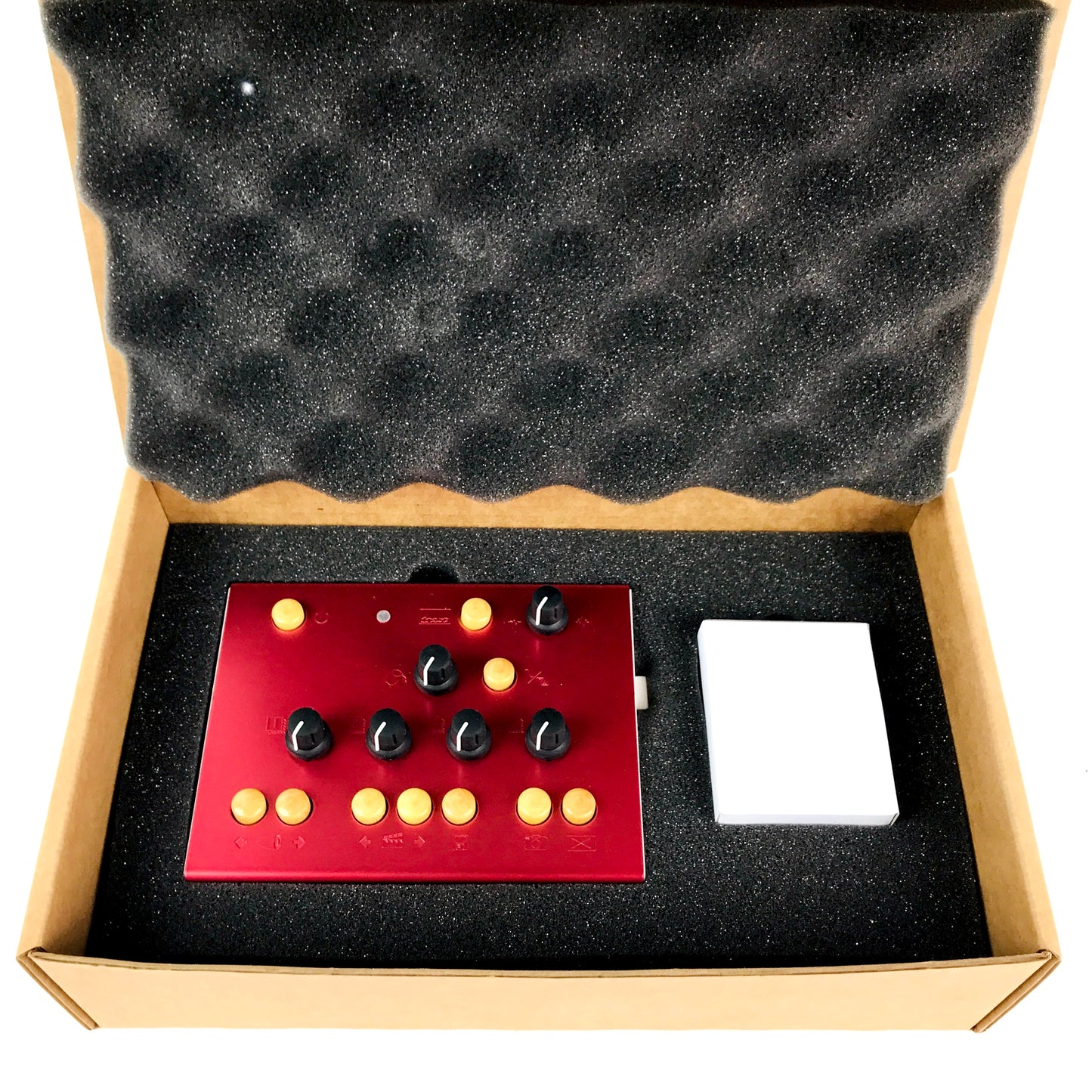 Critter & Guitari ETC, brand new old stick!