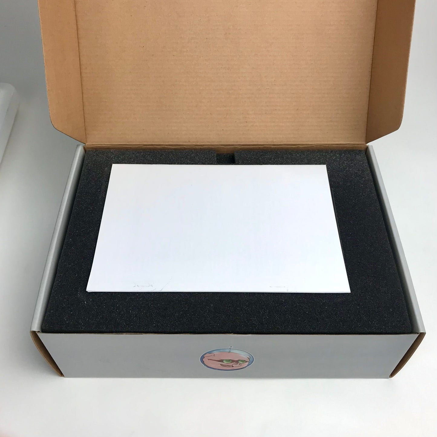 Pigtronix Echolution, BRAND NEW, old stock (N.O.S.)