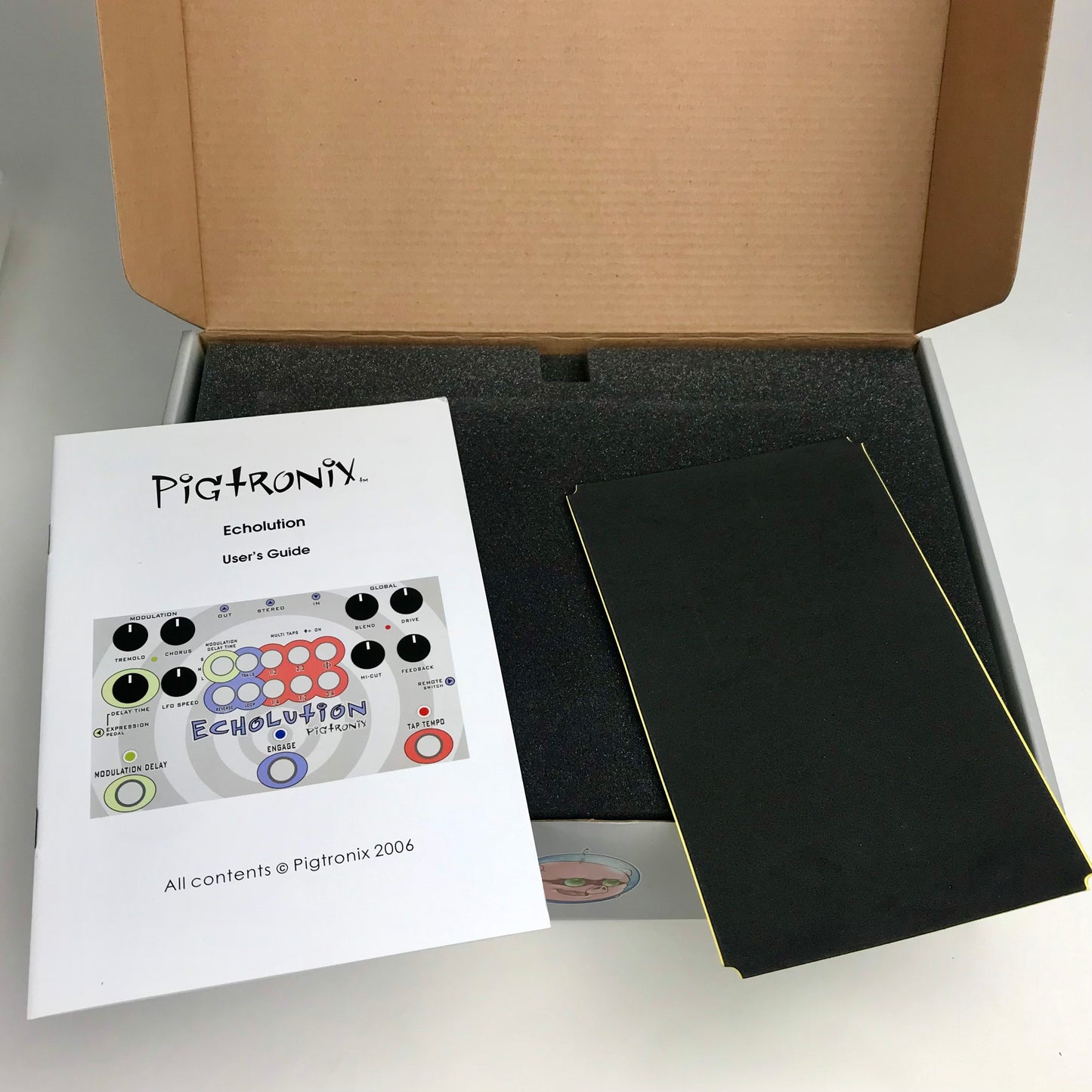 Pigtronix Echolution, BRAND NEW, old stock (N.O.S.)